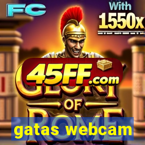 gatas webcam
